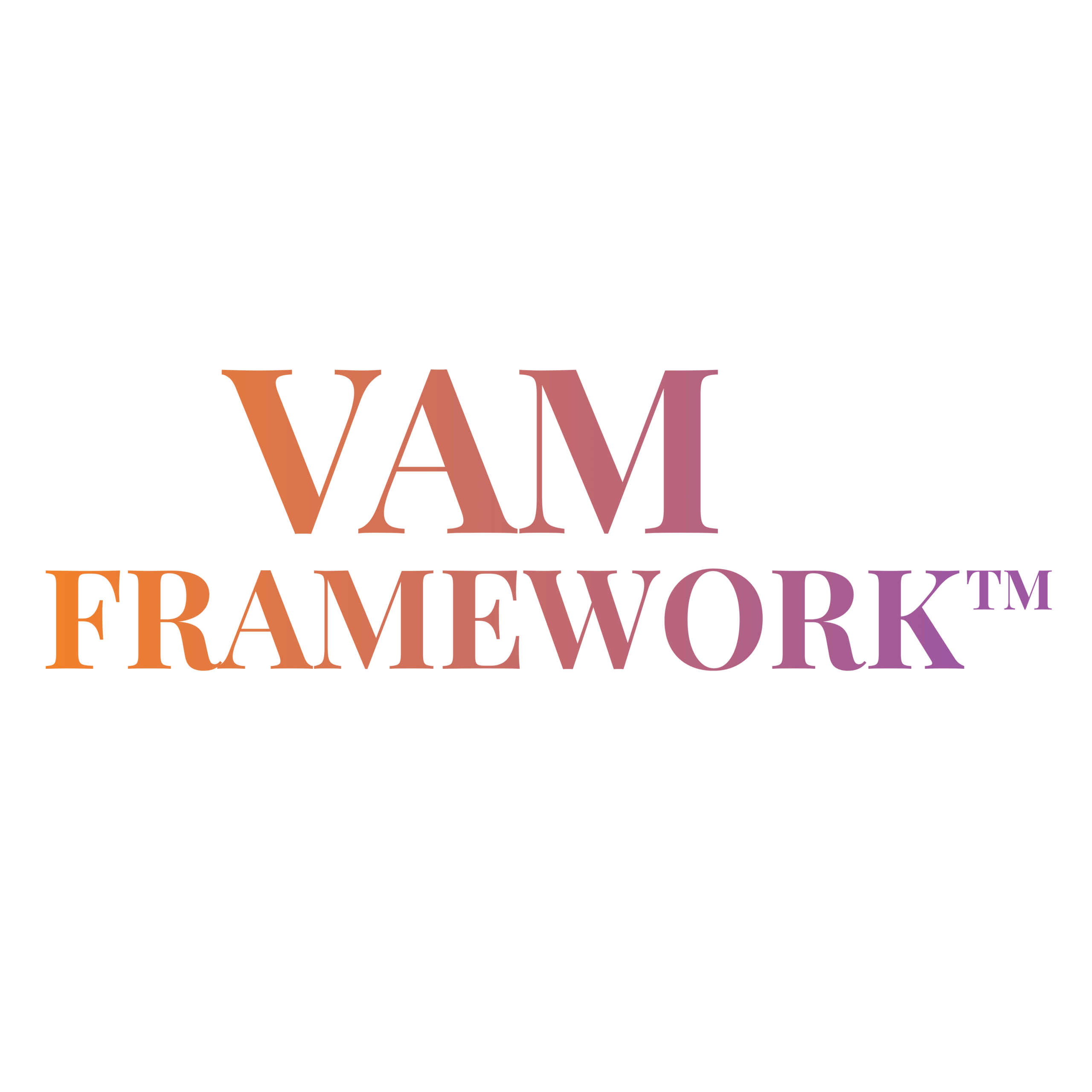 VAM FRAMEWORK™